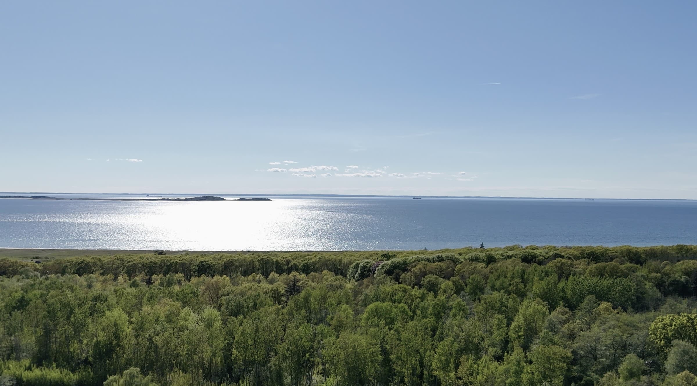 Aerial view over woodland towards a sunlit sea.