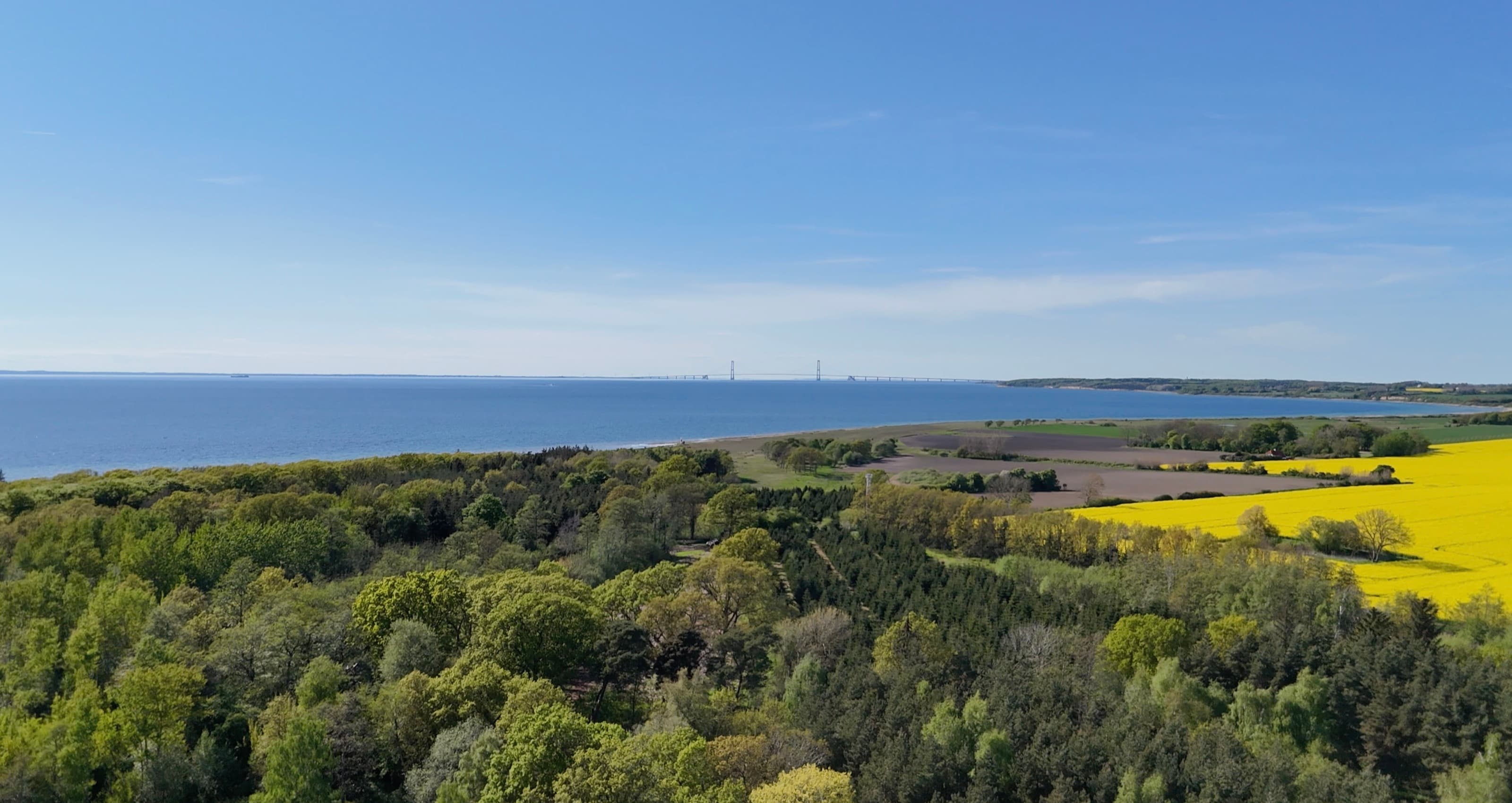 Aerial view across woodland and rapeseed fields to the Danish coast, with the Great Belt bridge on the horizon.