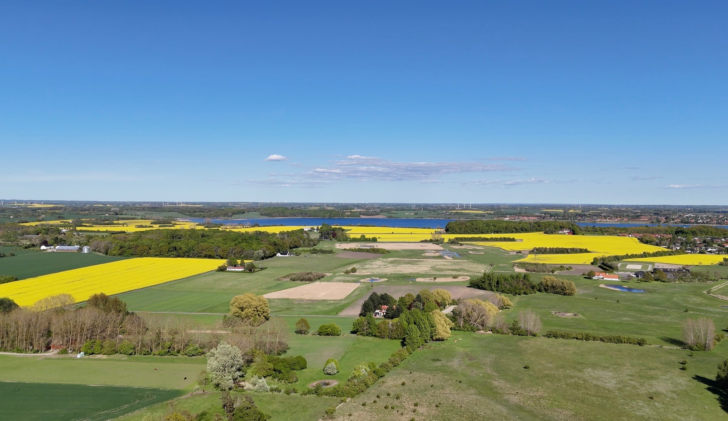 Aerial view over rapeseed fields, pasture and woodland towards a fjord.