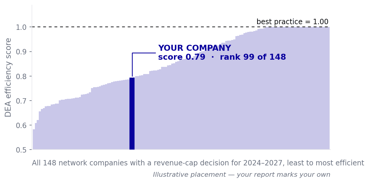 All 148 network companies ranked by DEA efficiency score, from below 0.6 up to best practice at 1.00, with one illustrative company highlighted at a score of 0.79, rank 99 of 148.